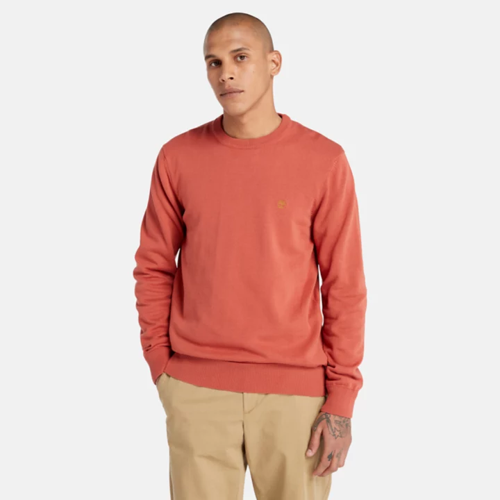 Williams River Crewneck Jumper for Men in Red