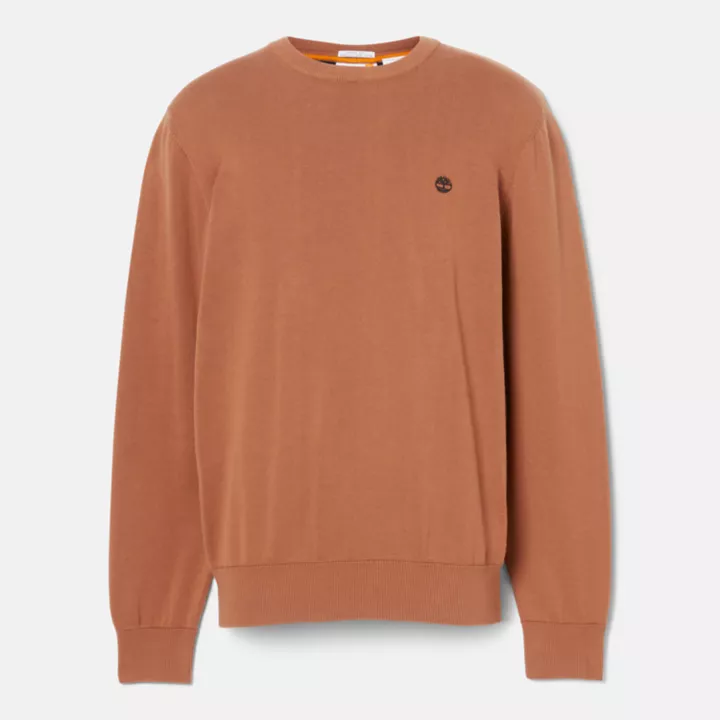 Williams River Crewneck Jumper for Men in Orange
