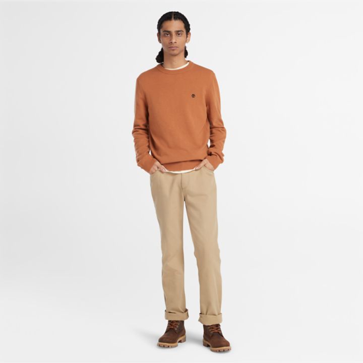 Cohas Brook Crewneck Jumper for Men in Brown