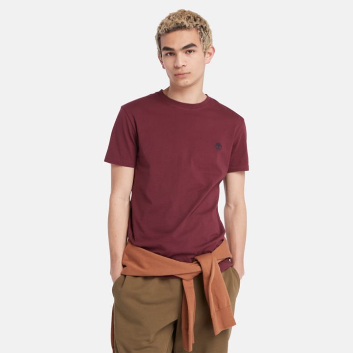 Dunstan River Crewneck T-Shirt for Men in Burgundy