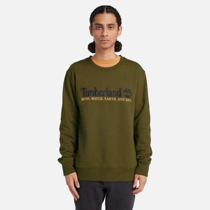 Wind, Water, Earth, and Sky Sweatshirt for Men in Green