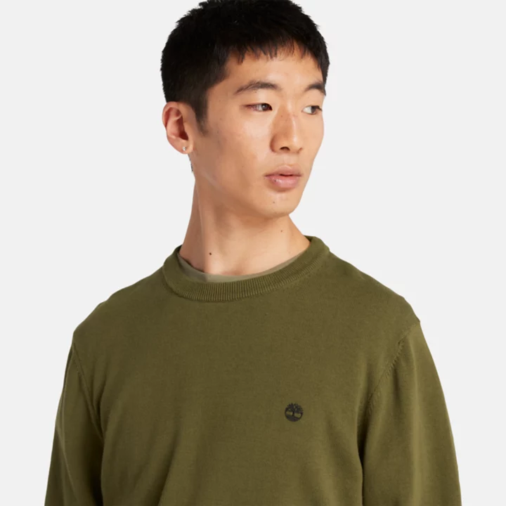 Williams River Crewneck Jumper for Men in Green
