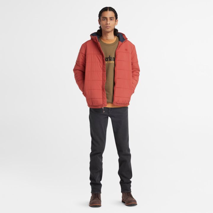 Garfield Thermarange Puffer Jacket for Men in Red