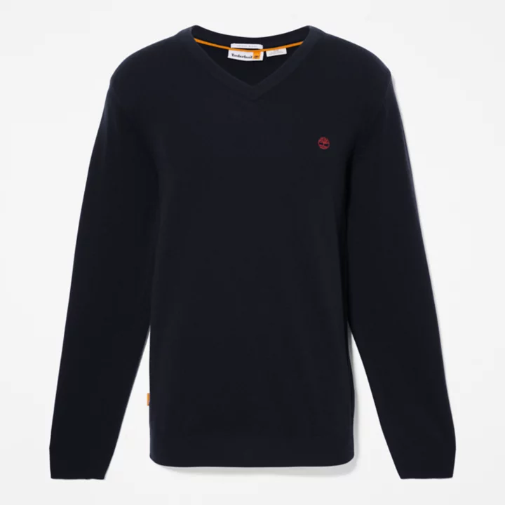 Cohas Brook V-Neck  Jumper for Men in Navy