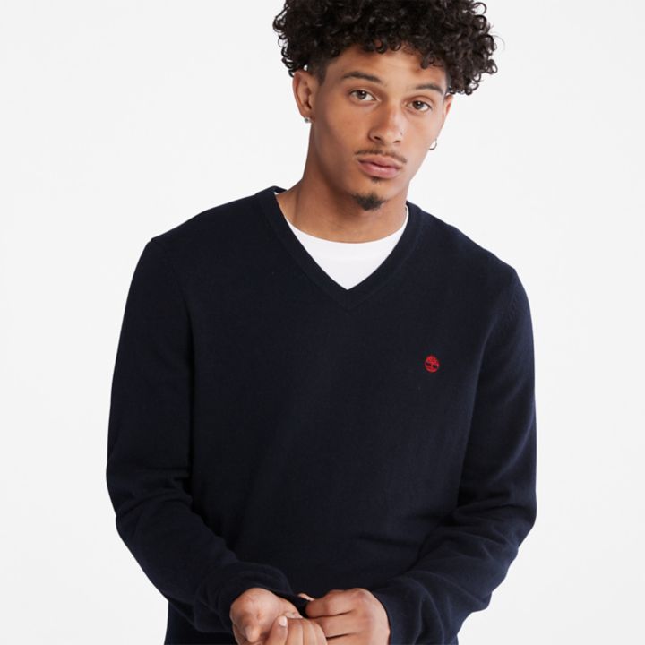 Cohas Brook V-Neck  Jumper for Men in Navy