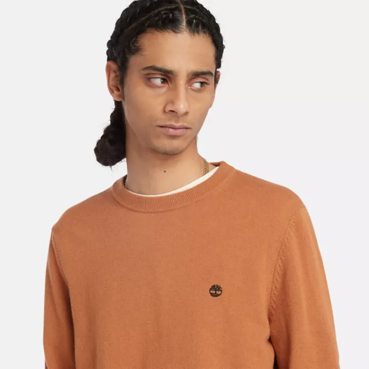 Cohas Brook Crewneck Jumper for Men in Brown