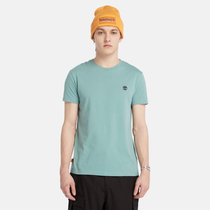Dunstan River Crewneck T-Shirt for Men in Teal