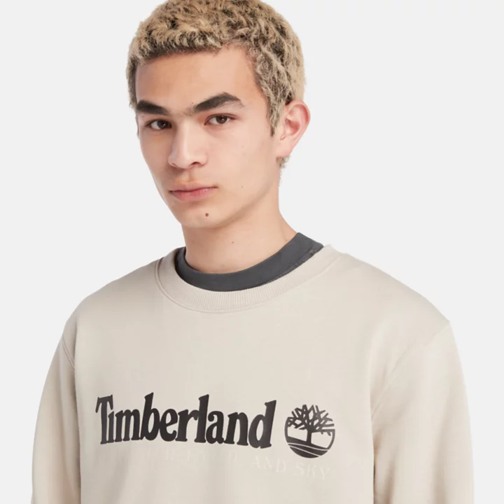 Wind, Water, Earth, and Sky Sweatshirt for Men in Beige