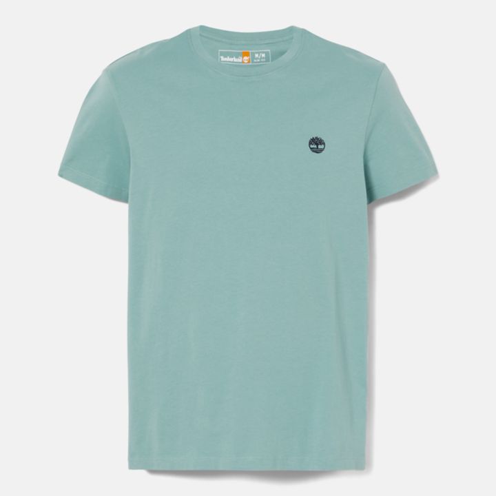 Dunstan River Crewneck T-Shirt for Men in Teal