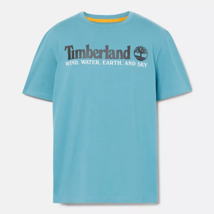 Wind, Water, Earth, and Sky T-Shirt for Men in Blue