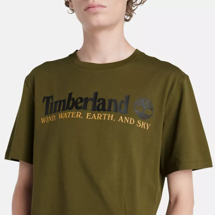 Wind, Water, Earth, and Sky T-Shirt for Men in Green