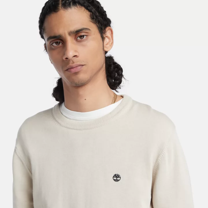Williams River Crewneck Jumper for Men in Beige