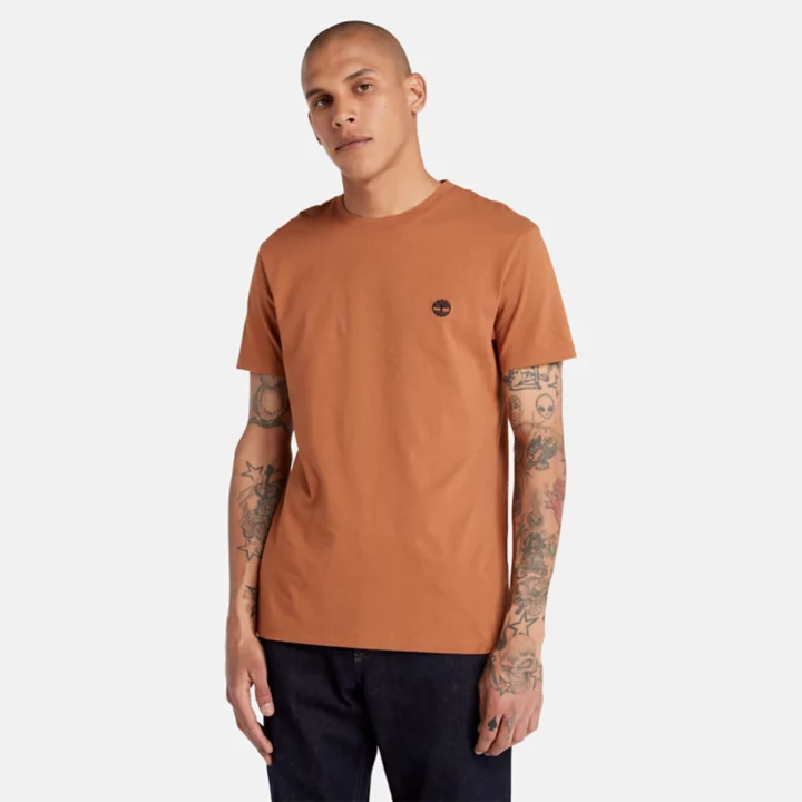 Dunstan River Crewneck T-Shirt for Men in Brown