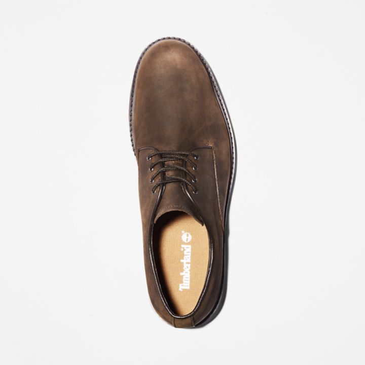 Stormbucks Waterproof Oxford Shoe for Men in Dark Brown