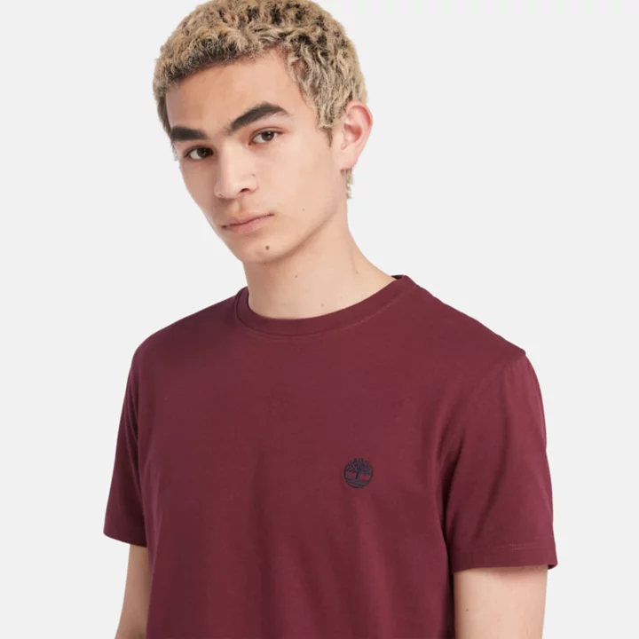 Dunstan River Crewneck T-Shirt for Men in Burgundy