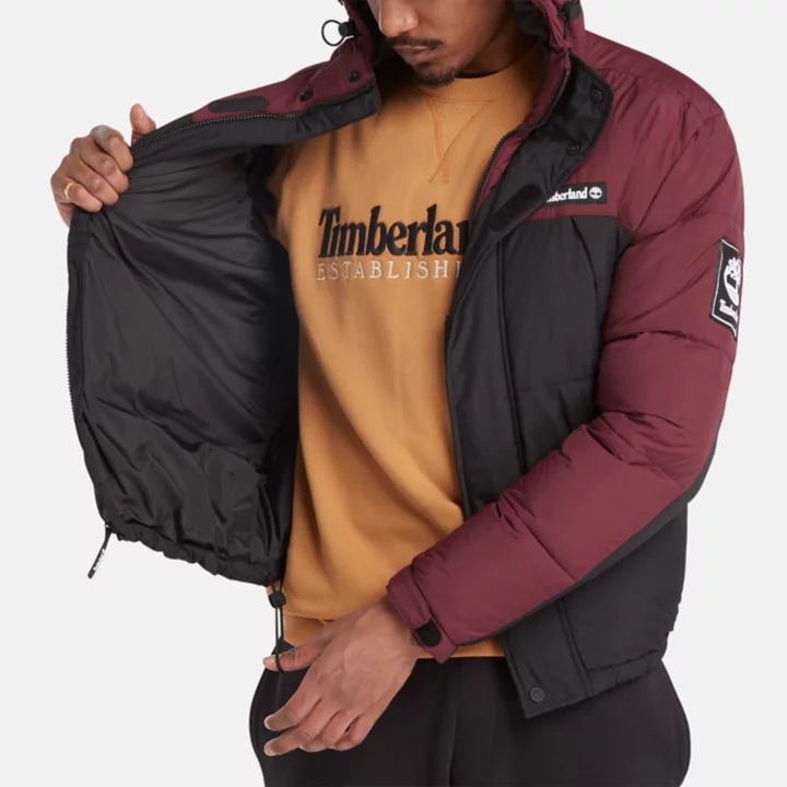 Outdoor Archive Puffer Jacket for Men in Burgundy