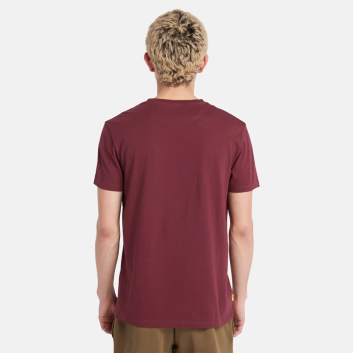 Dunstan River Crewneck T-Shirt for Men in Burgundy
