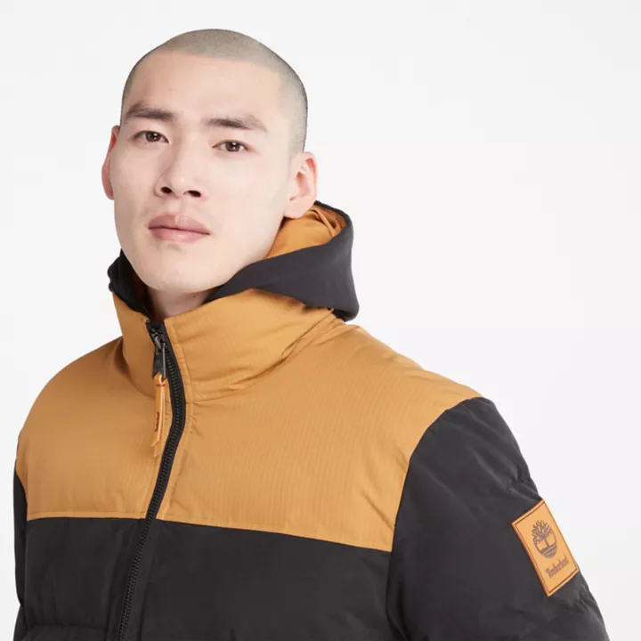 Welch Mountain Puffer Jacket for Men in Black