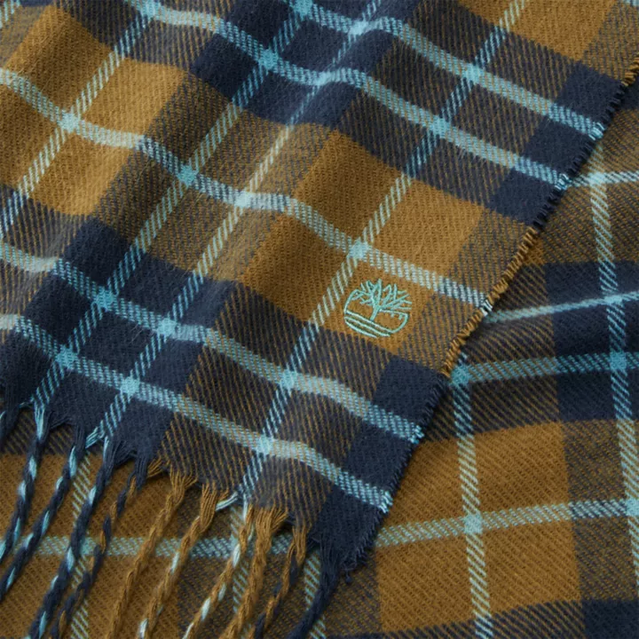 Cape Neddick Check Scarf with Gift Box for Men in Green