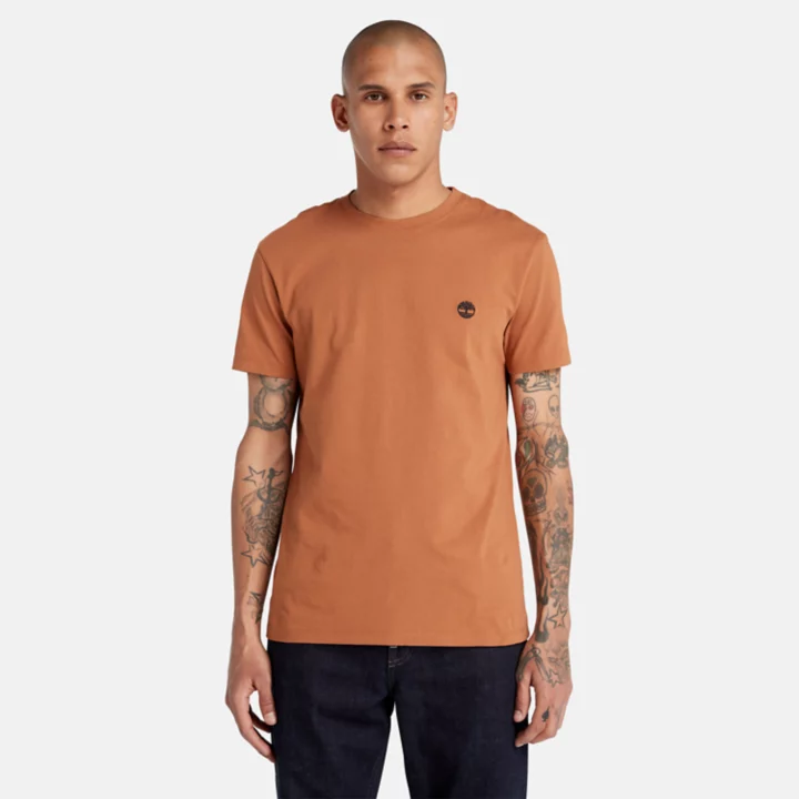 Dunstan River Crewneck T-Shirt for Men in Brown