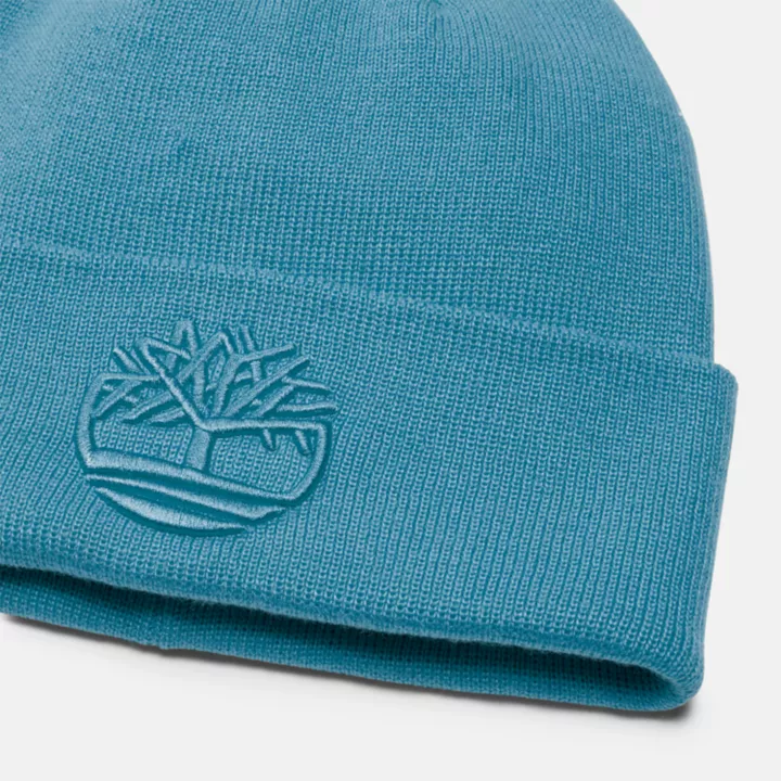 Tonal 3D Embroidery Beanie for Men in Blue