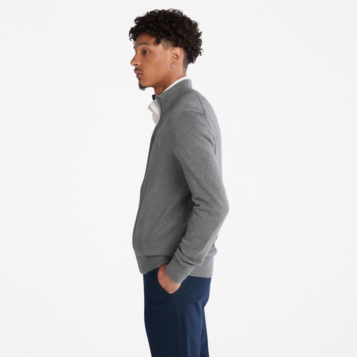 Williams River Full-zip Jumper for Men in Grey