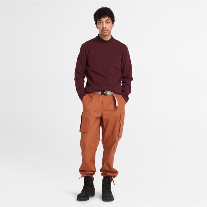 Cohas Brook Crewneck Jumper for Men in Burgundy