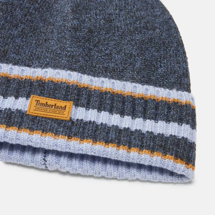 Watch Cap with Striped Cuff for Men in Blue