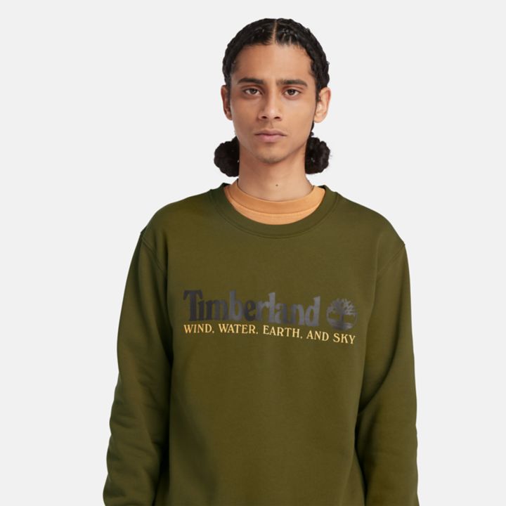 Wind, Water, Earth, and Sky Sweatshirt for Men in Green