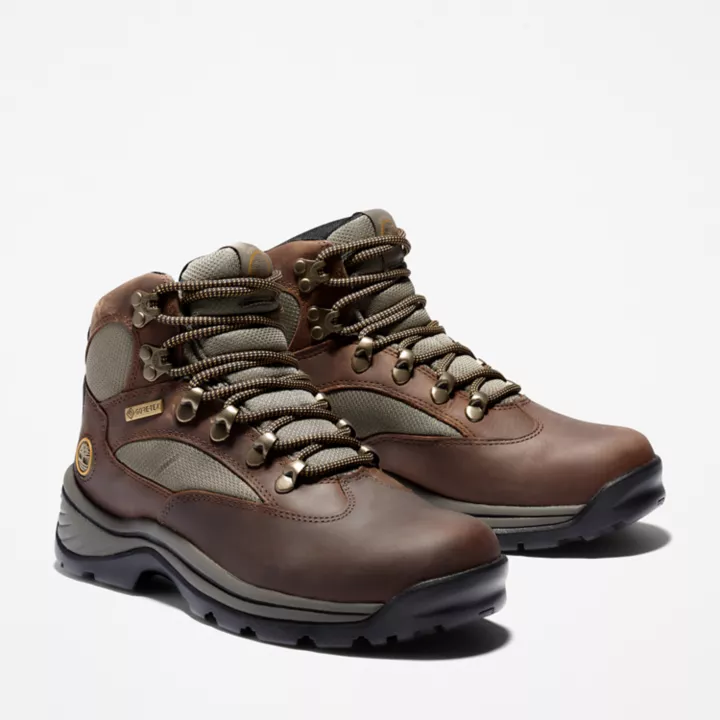 Chocorua Hiking Boot for Women in Brown