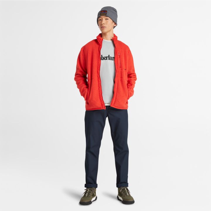 Est. 1973 Logo Crew Sweatshirt for Men in Grey