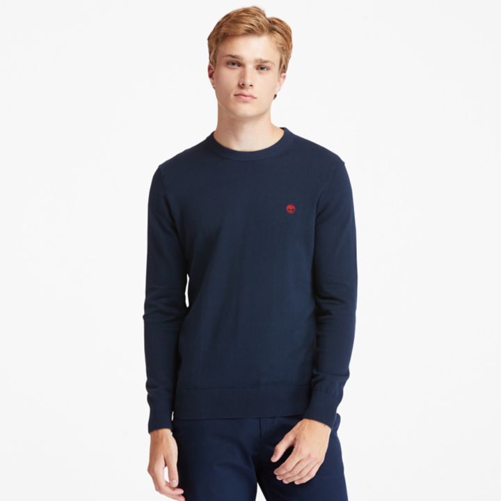 Williams River Crewneck Jumper for Men in Navy