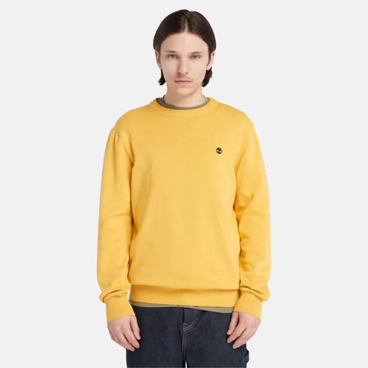 Williams River Crewneck Jumper for Men in Yellow