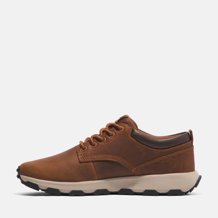 GreenStride Winsor Park Trainer for Men in Brown