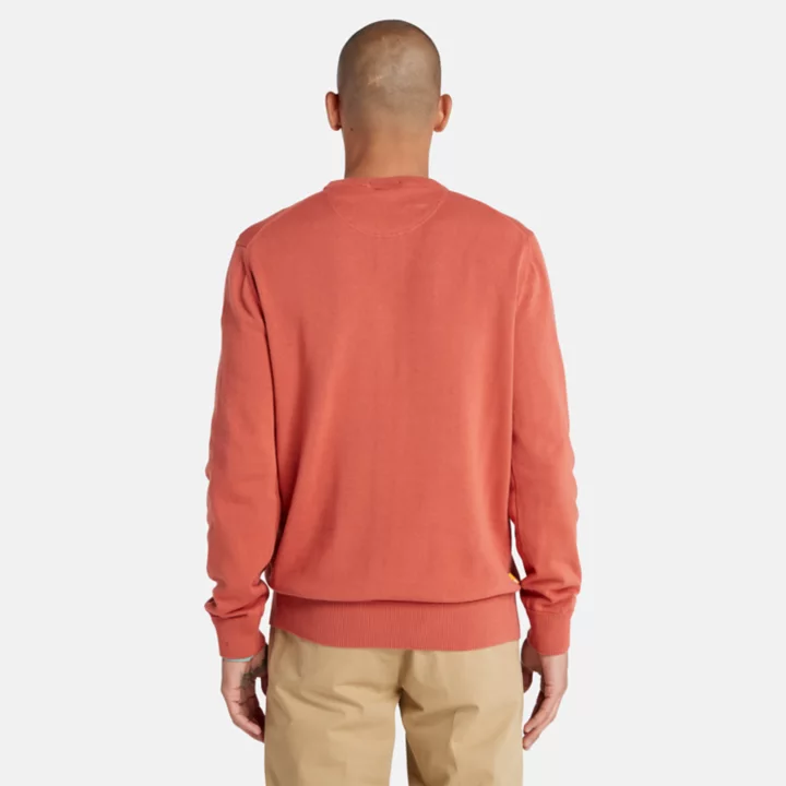 Williams River Crewneck Jumper for Men in Red