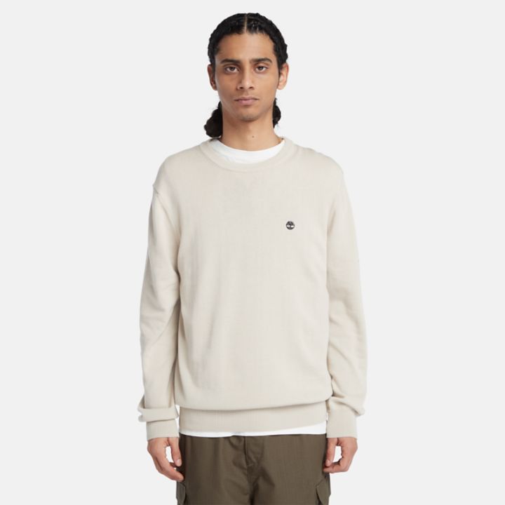 Williams River Crewneck Jumper for Men in Beige