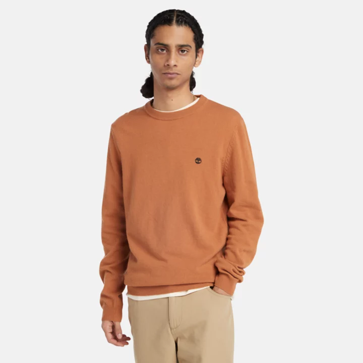 Cohas Brook Crewneck Jumper for Men in Brown