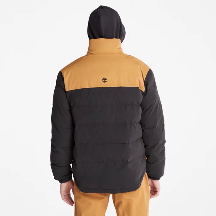Welch Mountain Puffer Jacket for Men in Black