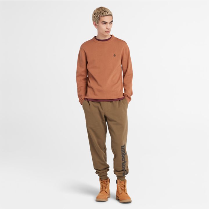 Williams River Crewneck Jumper for Men in Orange