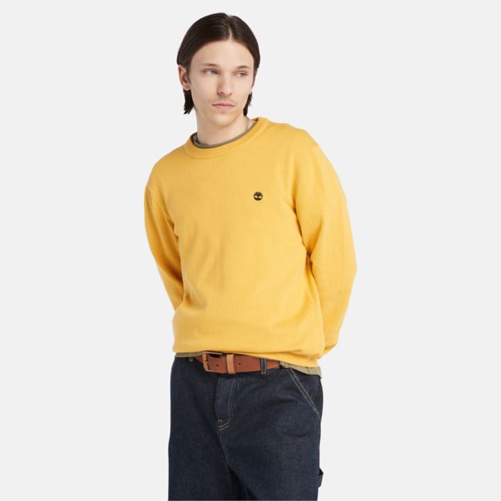 Williams River Crewneck Jumper for Men in Yellow