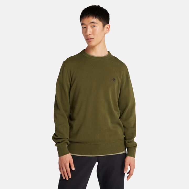 Williams River Crewneck Jumper for Men in Green