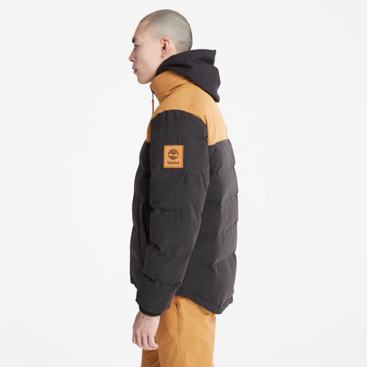 Welch Mountain Puffer Jacket for Men in Black