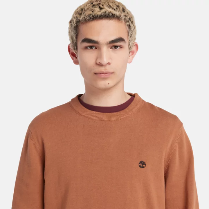 Williams River Crewneck Jumper for Men in Orange