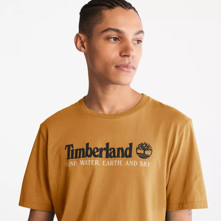 Wind, Water, Earth, and Sky T-Shirt for Men in Dark Yellow