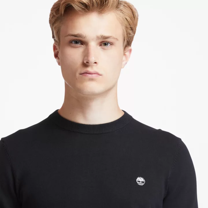 Williams River Crewneck Jumper for Men in Black