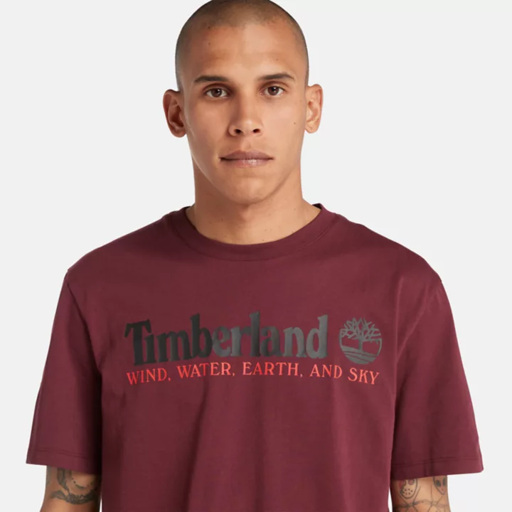Wind, Water, Earth, and Sky T-Shirt for Men in Burgundy