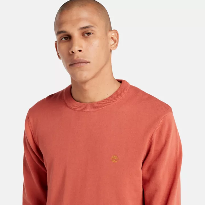 Williams River Crewneck Jumper for Men in Red