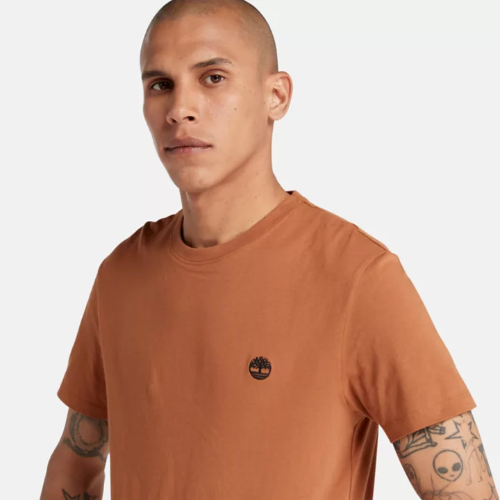 Dunstan River Crewneck T-Shirt for Men in Brown