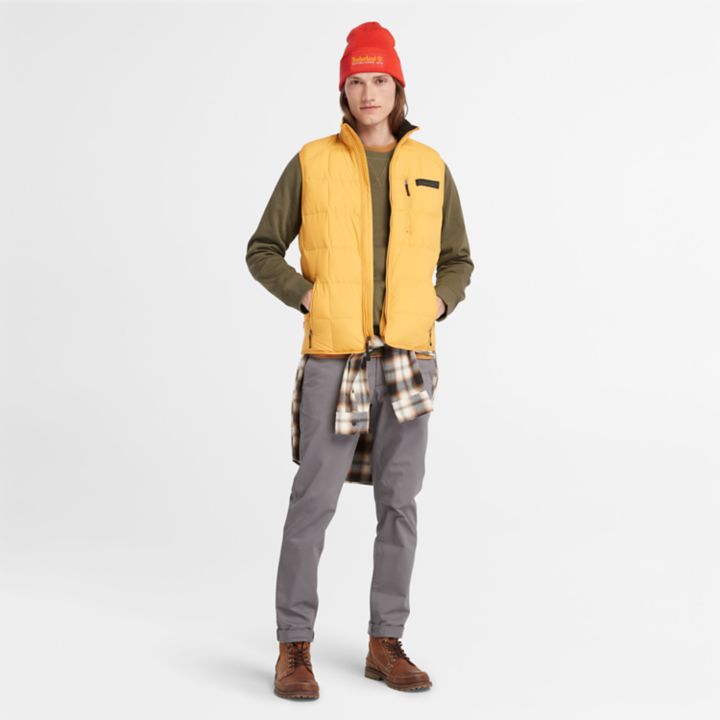 Exeter River Crewneck Sweatshirt for Men in Green