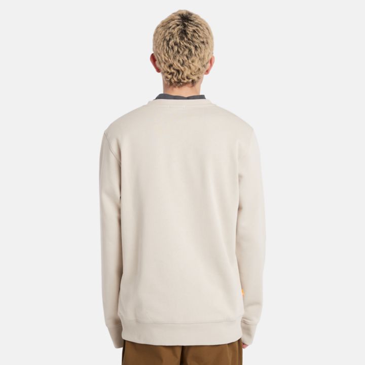 Wind, Water, Earth, and Sky Sweatshirt for Men in Beige